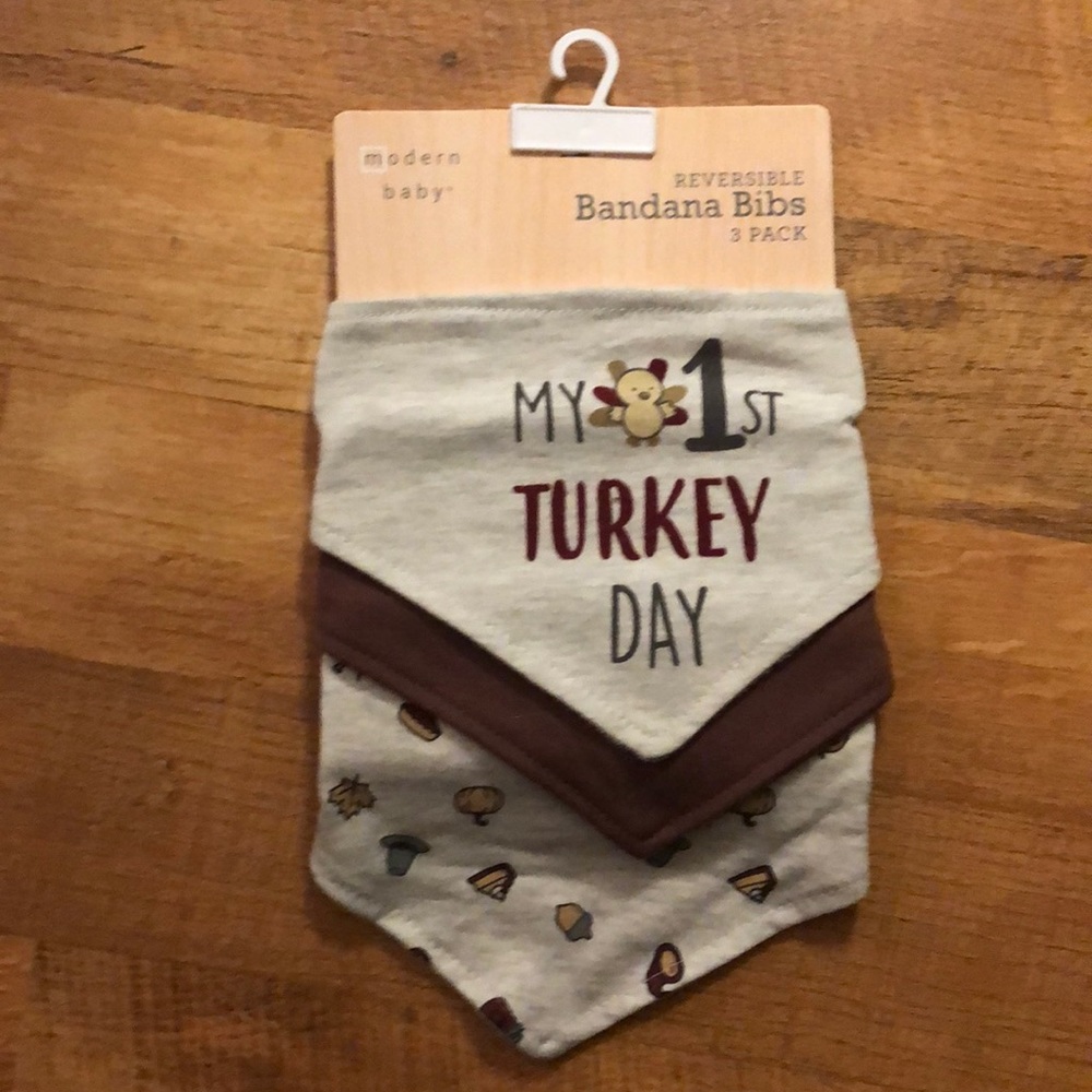 Set of 3 Thanksgiving Bibs